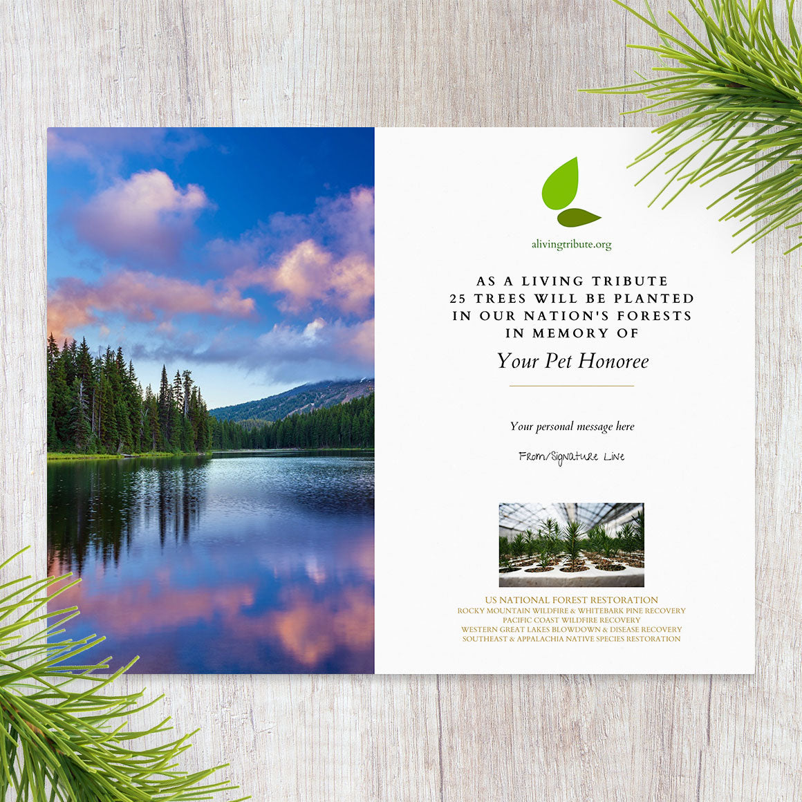 Pet Loss Memorial Tree Gift - Plant a Tree in Memory in a National Forest & Send a Personalized Card
