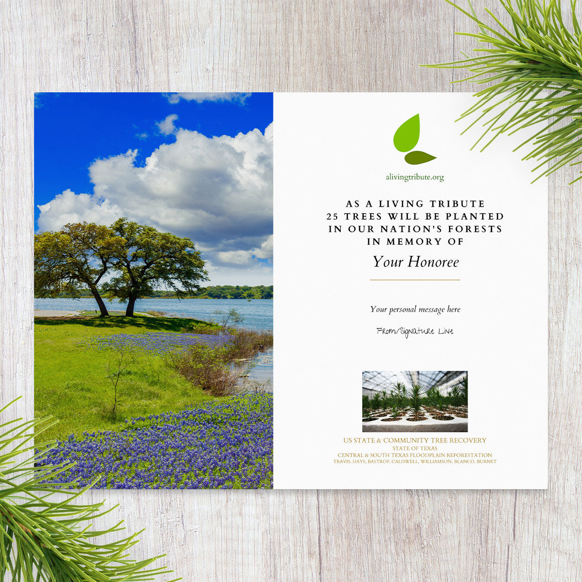 Plant a Tree for Someone in Texas - Memorial & Tribute Trees