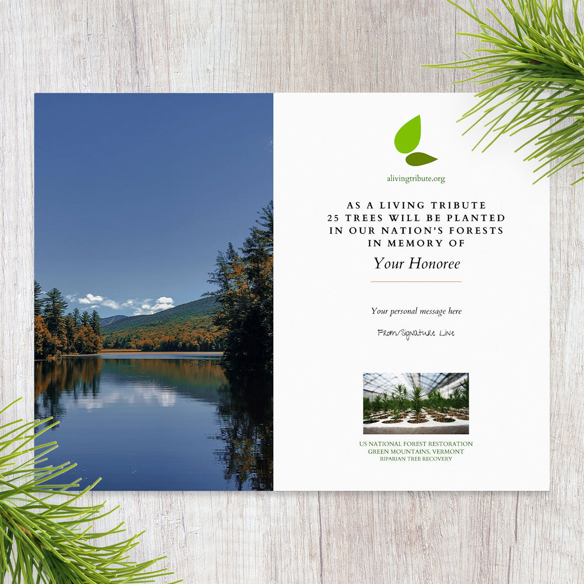 Plant a Tree for Someone in Vermont - Memorial & Tribute Trees