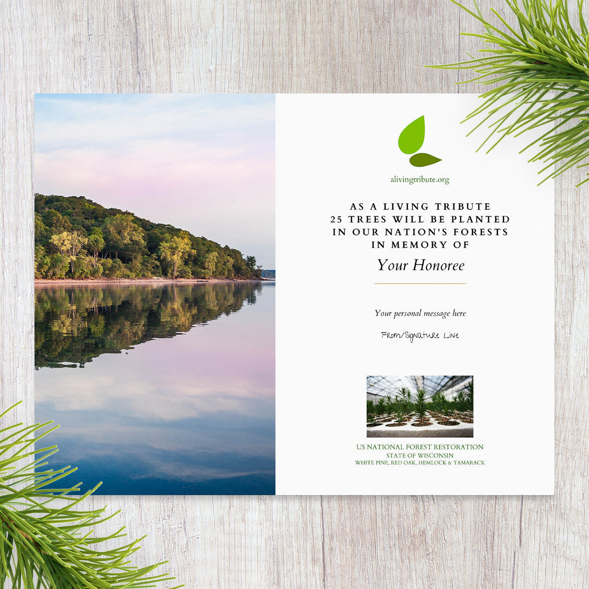Plant a Tree for Someone in Wisconsin - Memorial & Tribute Trees