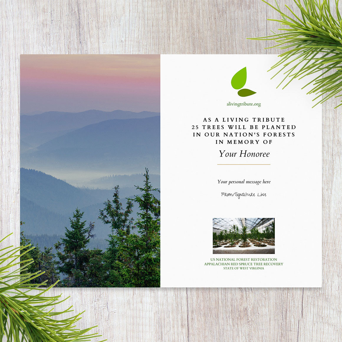 Plant a Tree for Someone in West Virginia - Memorial & Tribute Trees