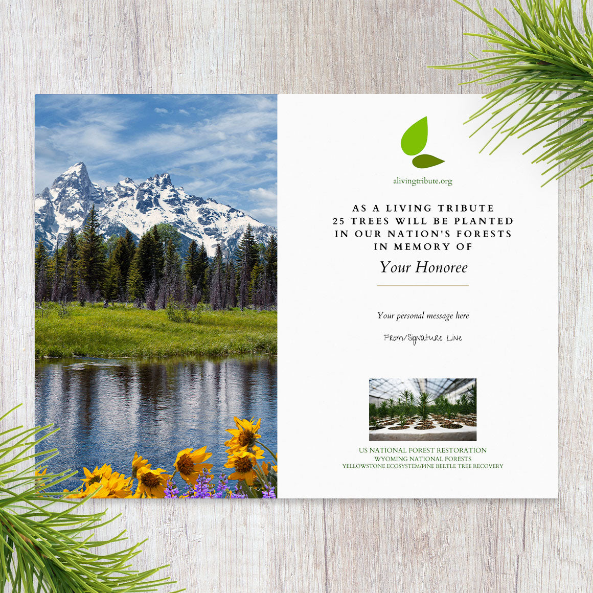 Plant a Tree for Someone in Wyoming - Memorial & Tribute Trees