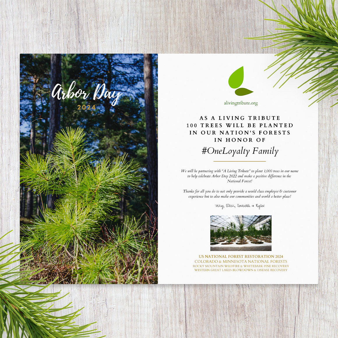 Plant a Tree for Arbor Day 2026