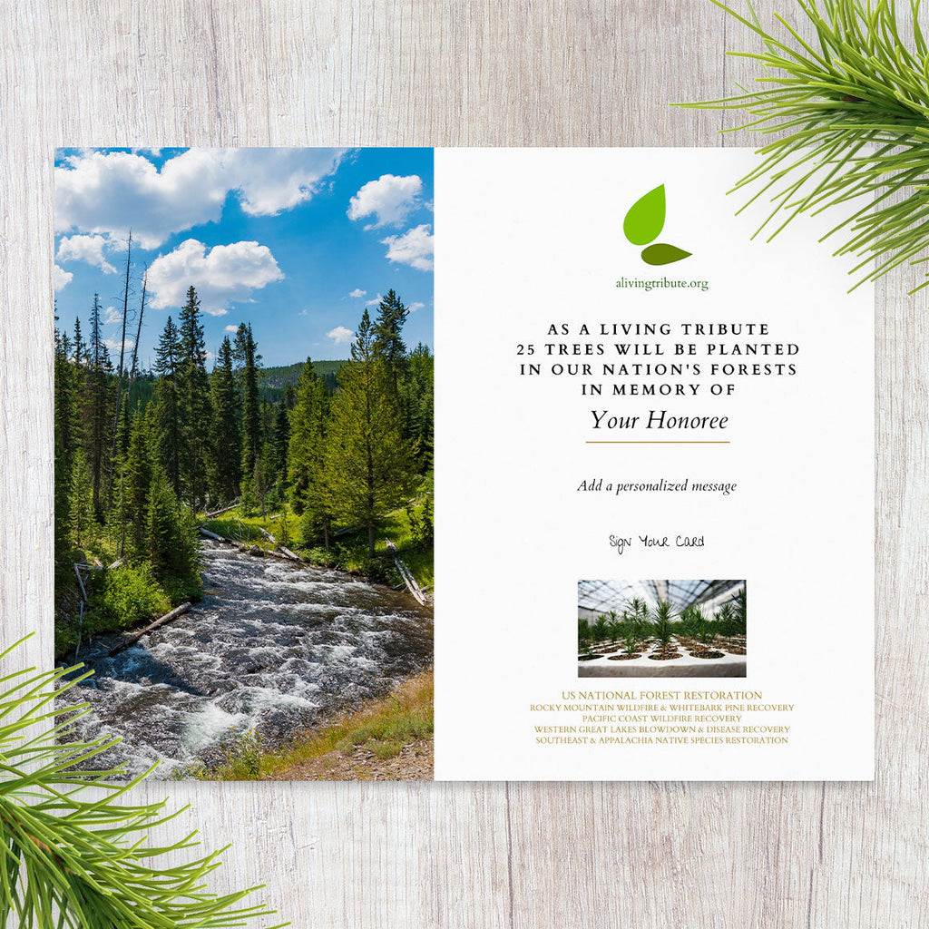Plant-a-Tree Gift with Deluxe Photo Card