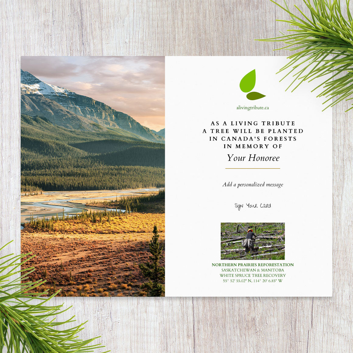 Plant a Tree in Canada with Mailed Commemorative Card