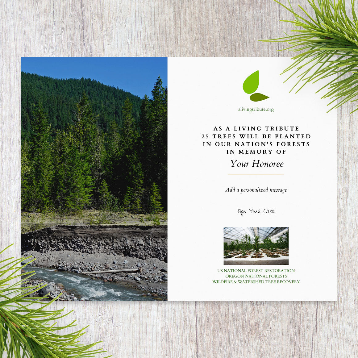 Plant a Tree for Someone in Oregon - Oregon Memorial Trees