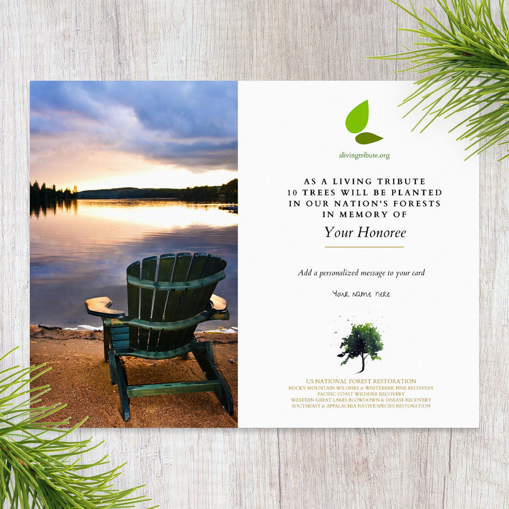 Send a Reforestation Sympathy Card - A Living Tribute®