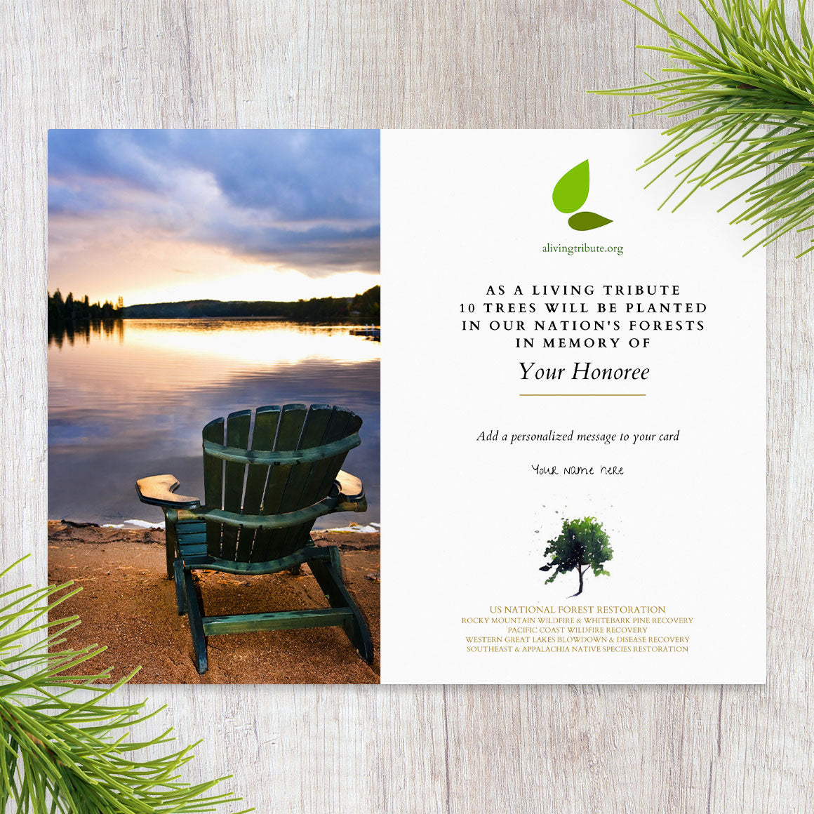 Send a Reforestation Sympathy Card - A Living Tribute®