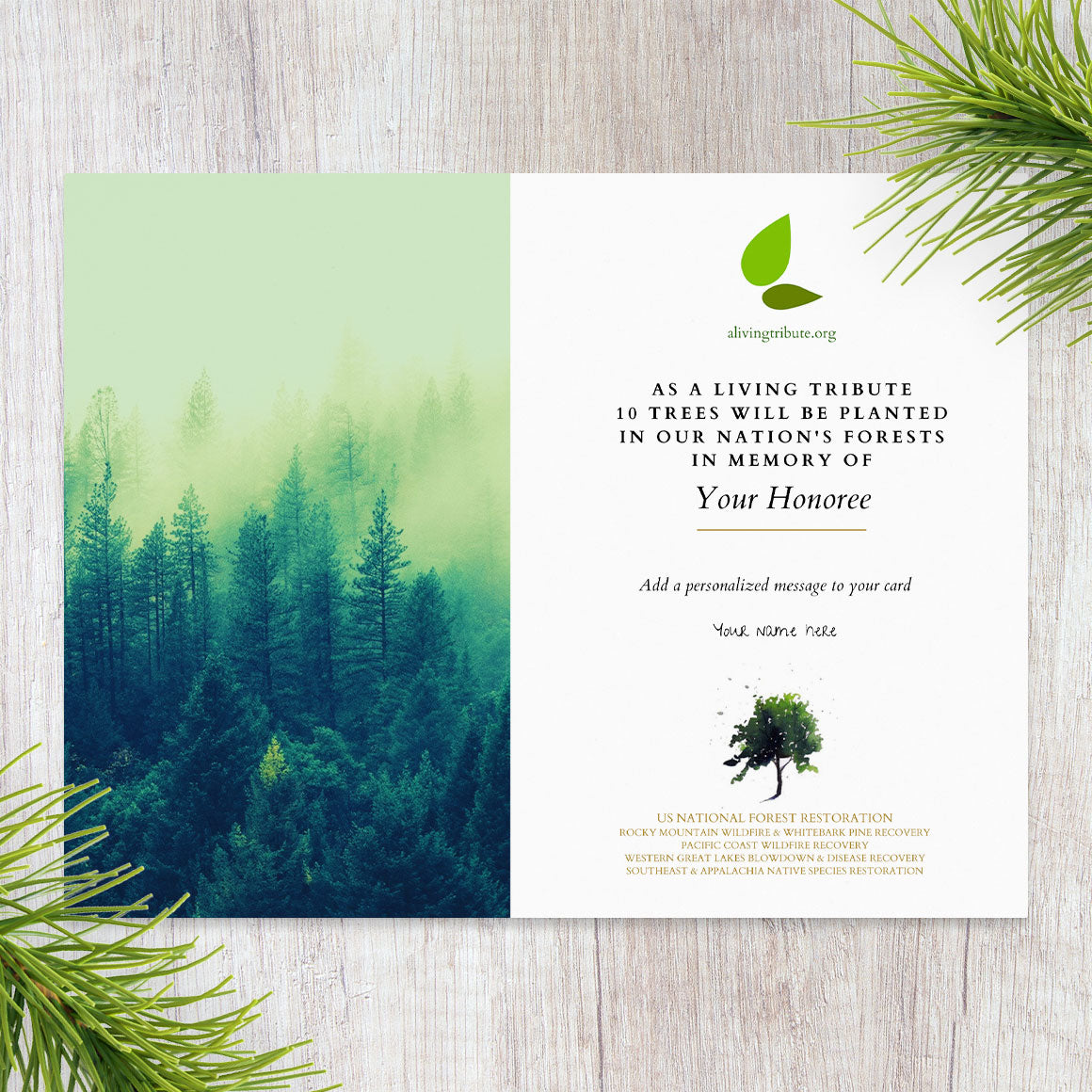 Send a Reforestation Sympathy Card - A Living Tribute®