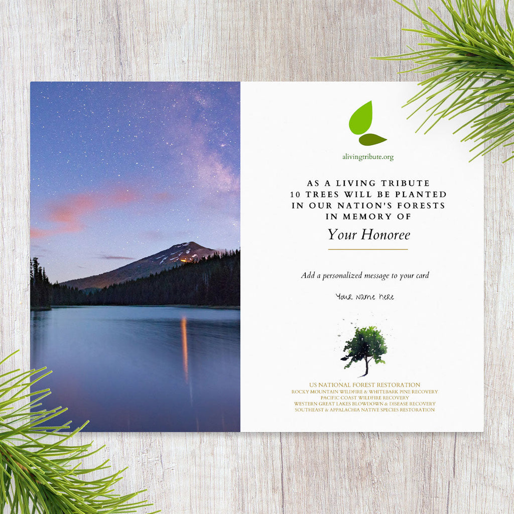 Send a Reforestation Sympathy Card - A Living Tribute®