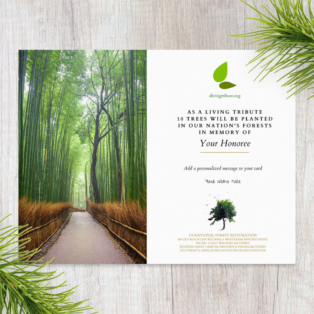 Send a Reforestation Sympathy Card - A Living Tribute®