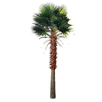 Mexican Fan Palm Artificial Tree 13ft–23ft – UV Resistant (10–12 Week Lead Time)