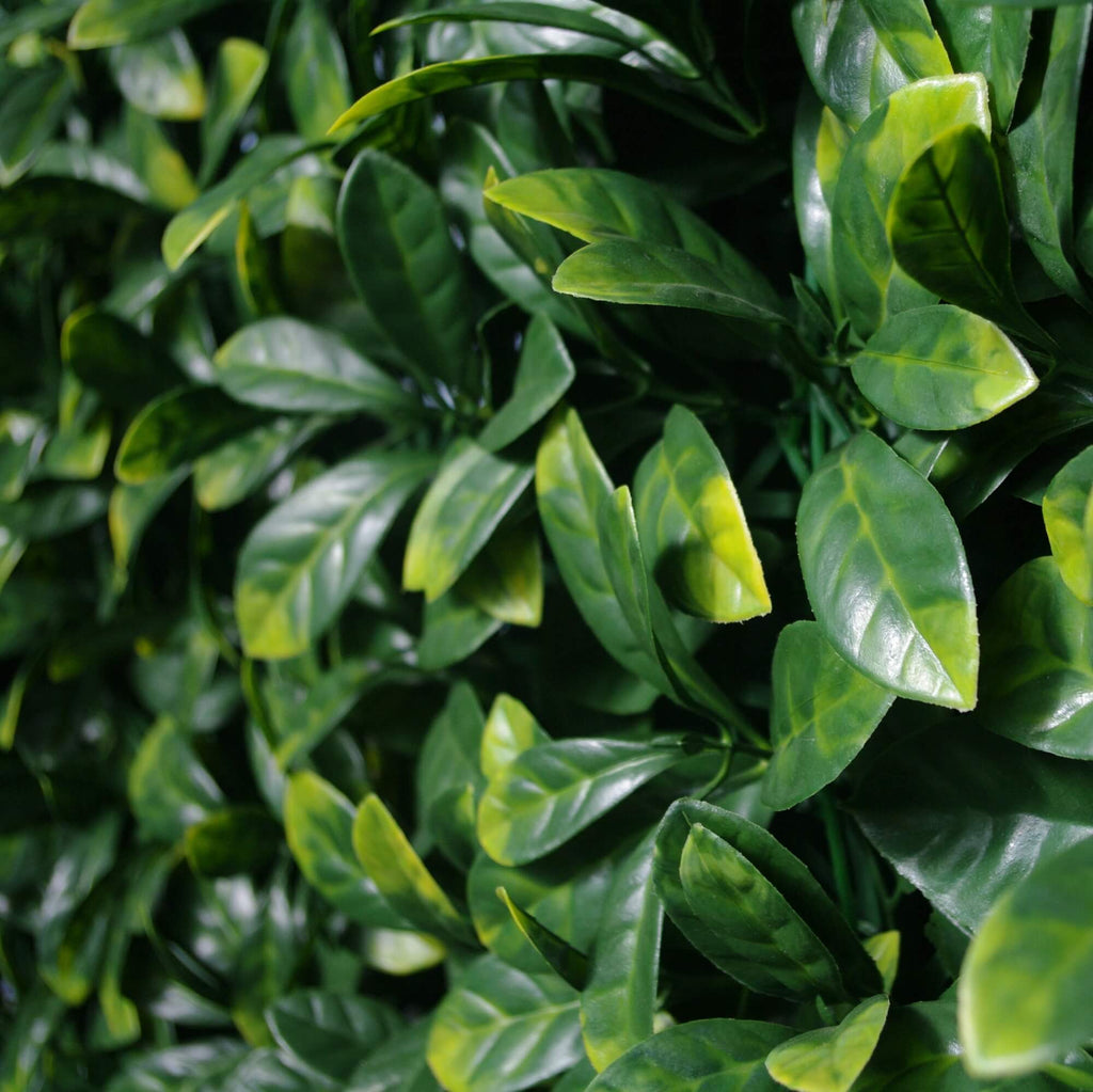 Laurel Artificial Vertical Garden Green Wall Panel 40×40in 11 SQ FT – UV Resistant – Commercial Grade