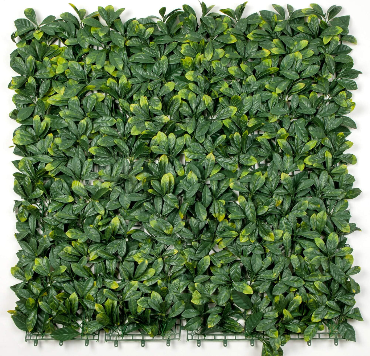 Laurel Artificial Vertical Garden Green Wall Panel 40×40in 11 SQ FT – UV Resistant – Commercial Grade