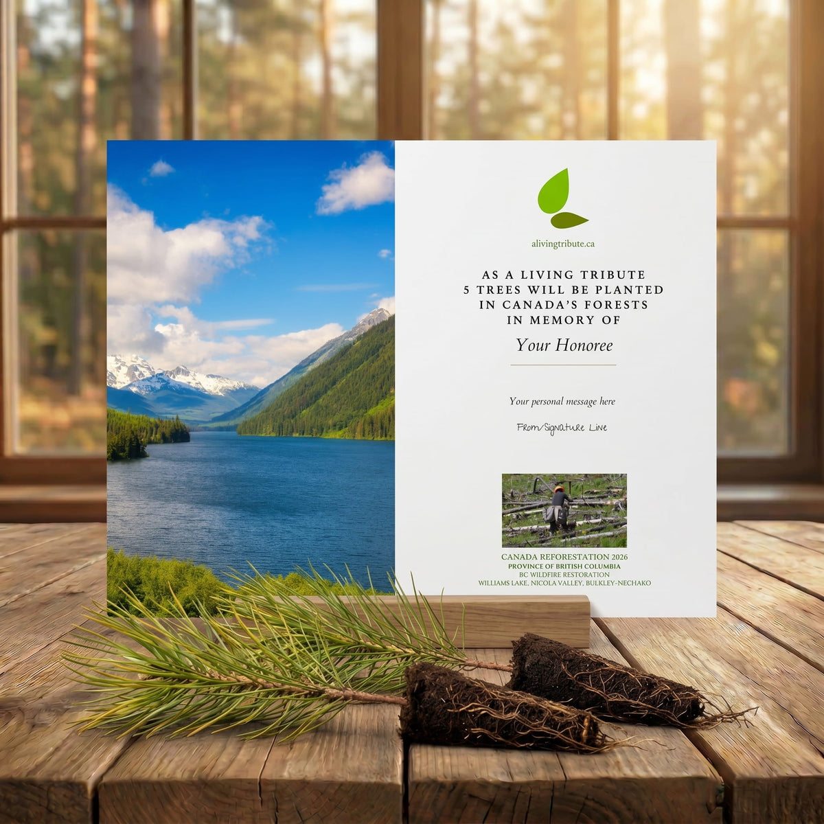 Plant a Tree in Canada with Mailed Commemorative Card