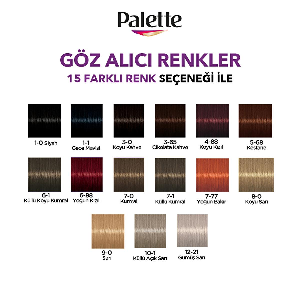 Palette Hair Dye - 3-0 Dark Brown with Keratin & Nourishing Oils for Vibrant Color