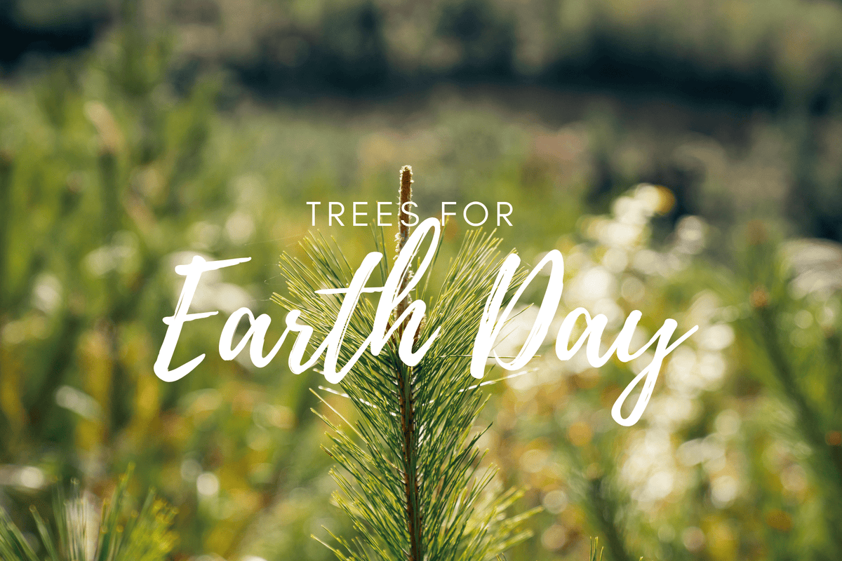 Plant a Tree for Earth Day 2026