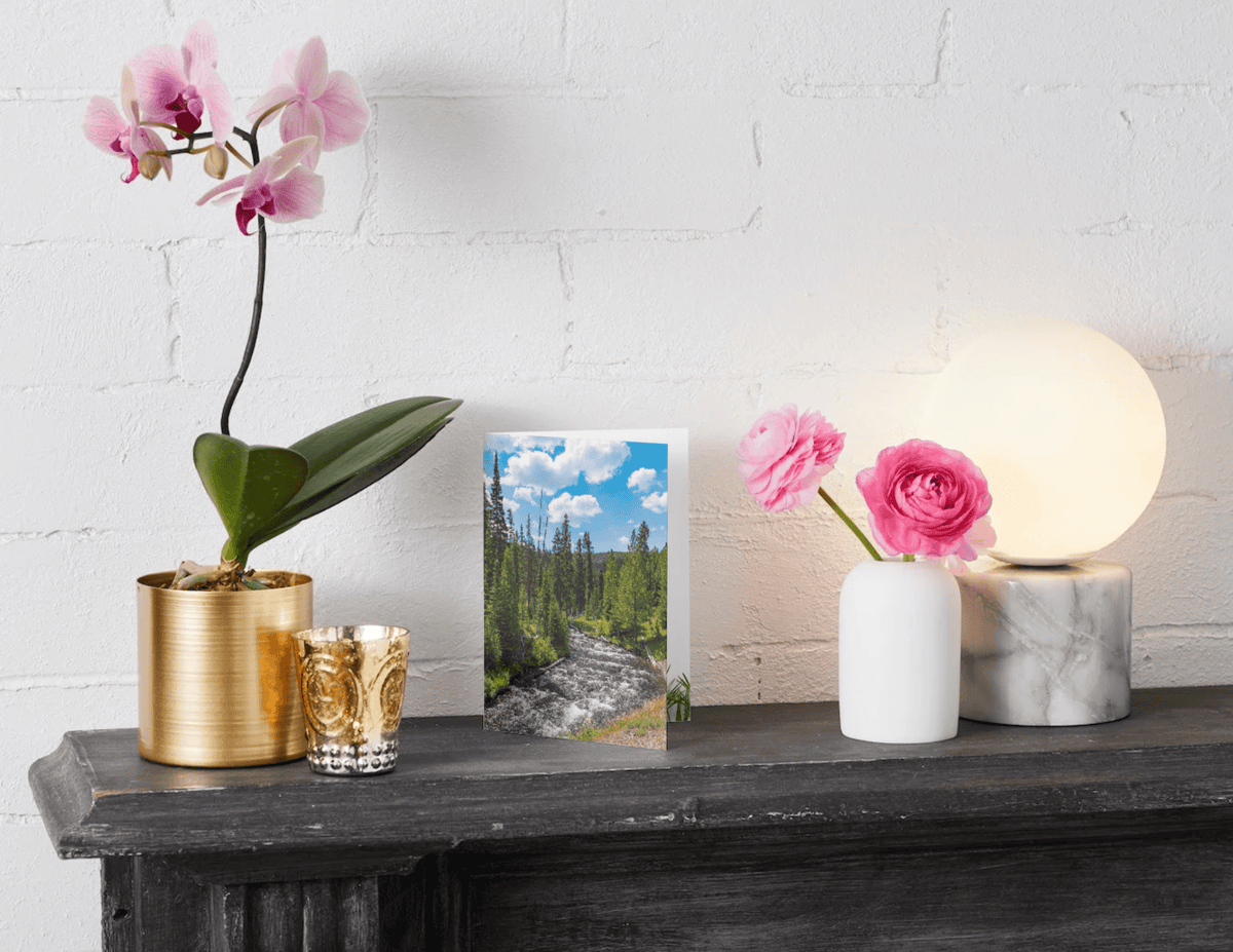 Plant-a-Tree Cards - A Living Tribute