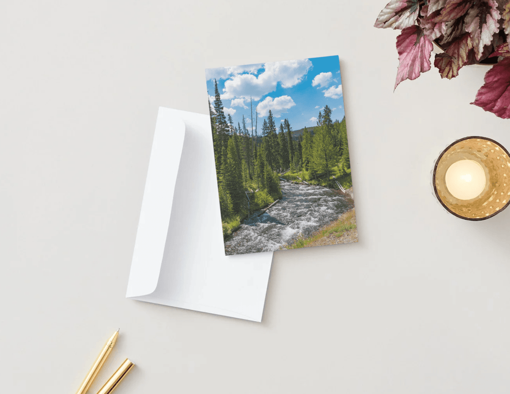 Plant-a-Tree Cards - A Living Tribute