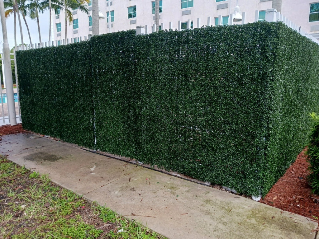 Dark Boxwood Artificial Vertical Garden Green Wall Panel 40×40in 11 SQ FT – UV Resistant – Commercial Grade