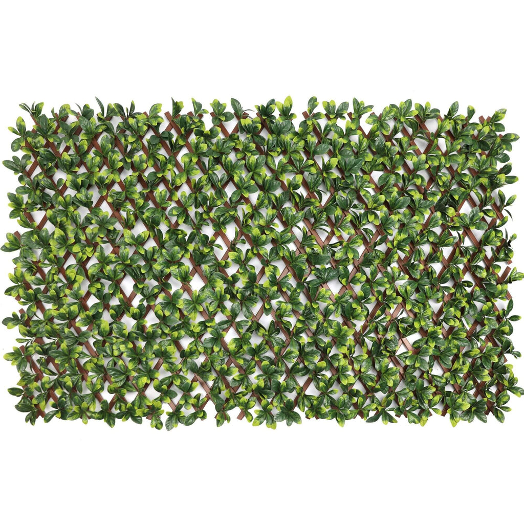 Ligustrum Ficus Expandable Artificial Trellis Privacy Screen – UV Resistant