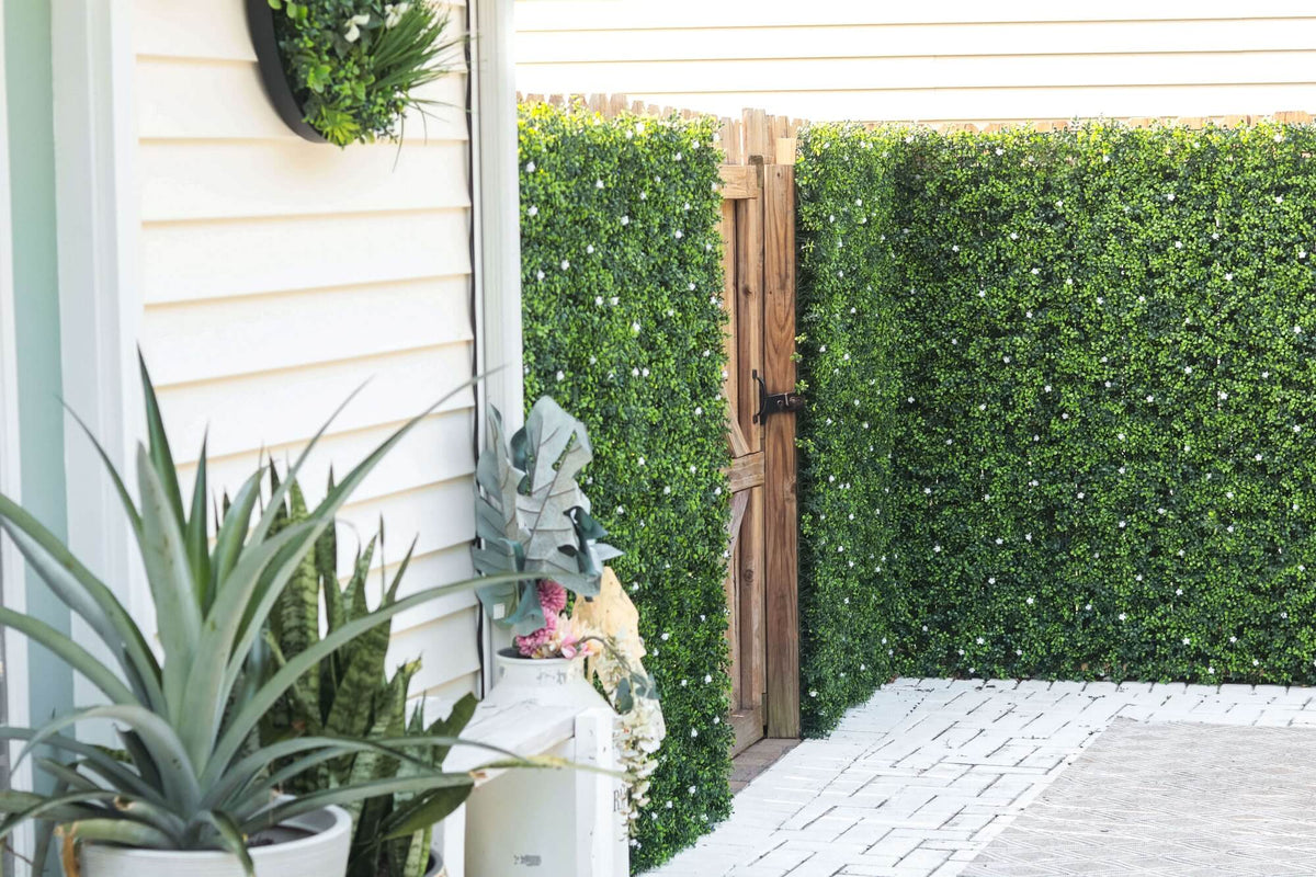 Sample Panel – White Flowering Boxwood Green Wall (Small Sample)