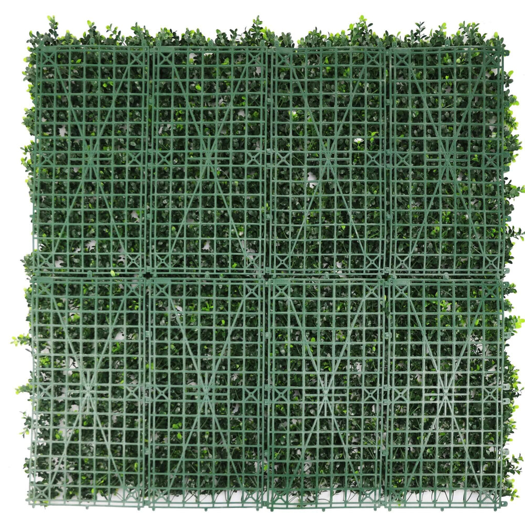 Sample Panel – White Flowering Boxwood Green Wall (Small Sample)