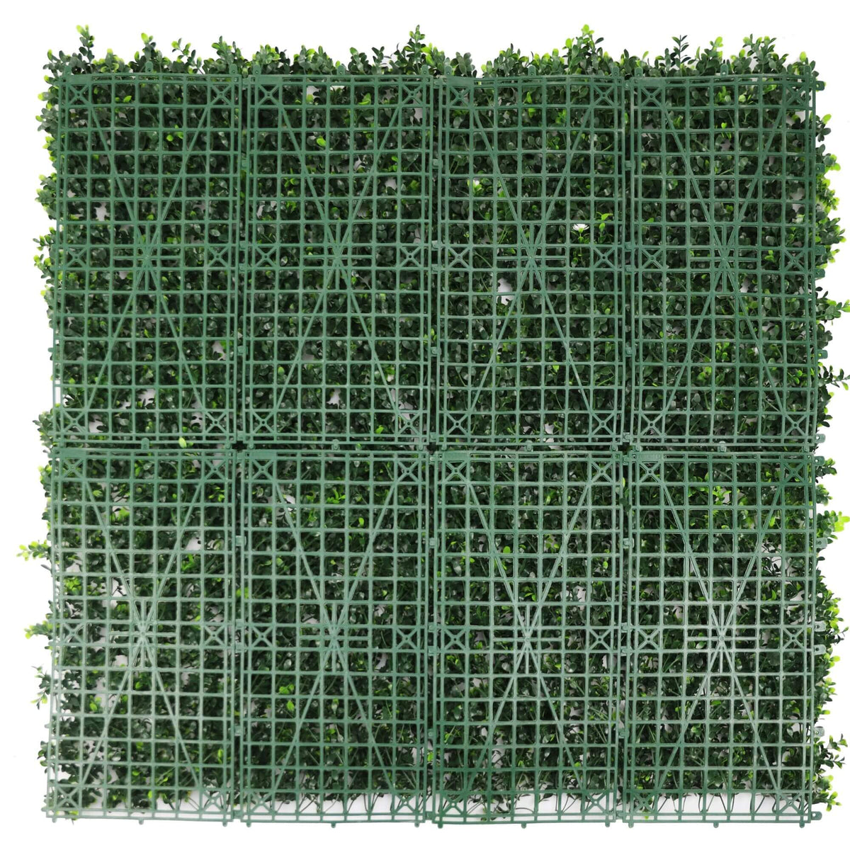 Sample Panel – White Flowering Boxwood Green Wall (Small Sample)