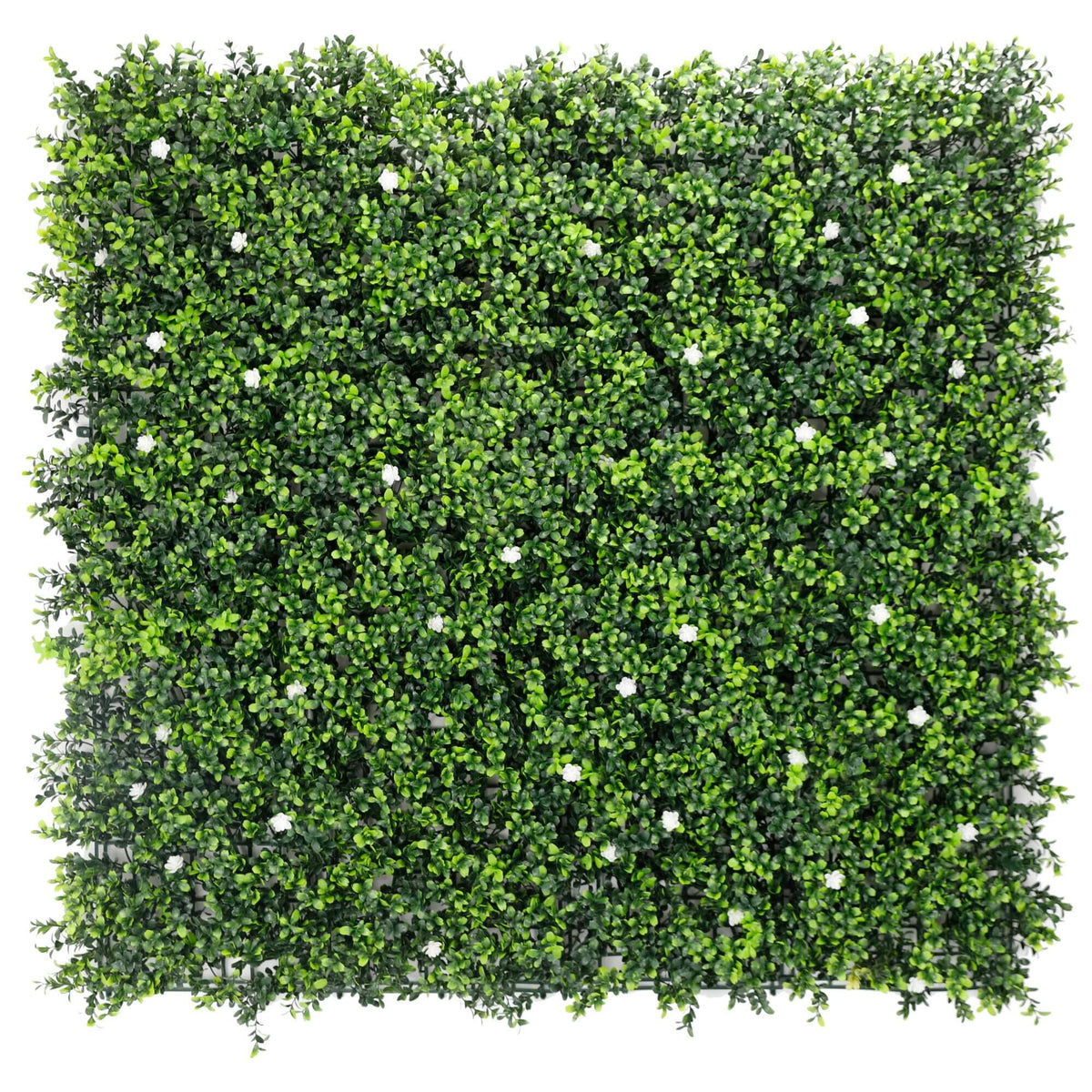 White Flowering Boxwood Artificial Vertical Garden Green Wall Panel 40×40in 11 SQ FT – UV Resistant – Commercial Grade