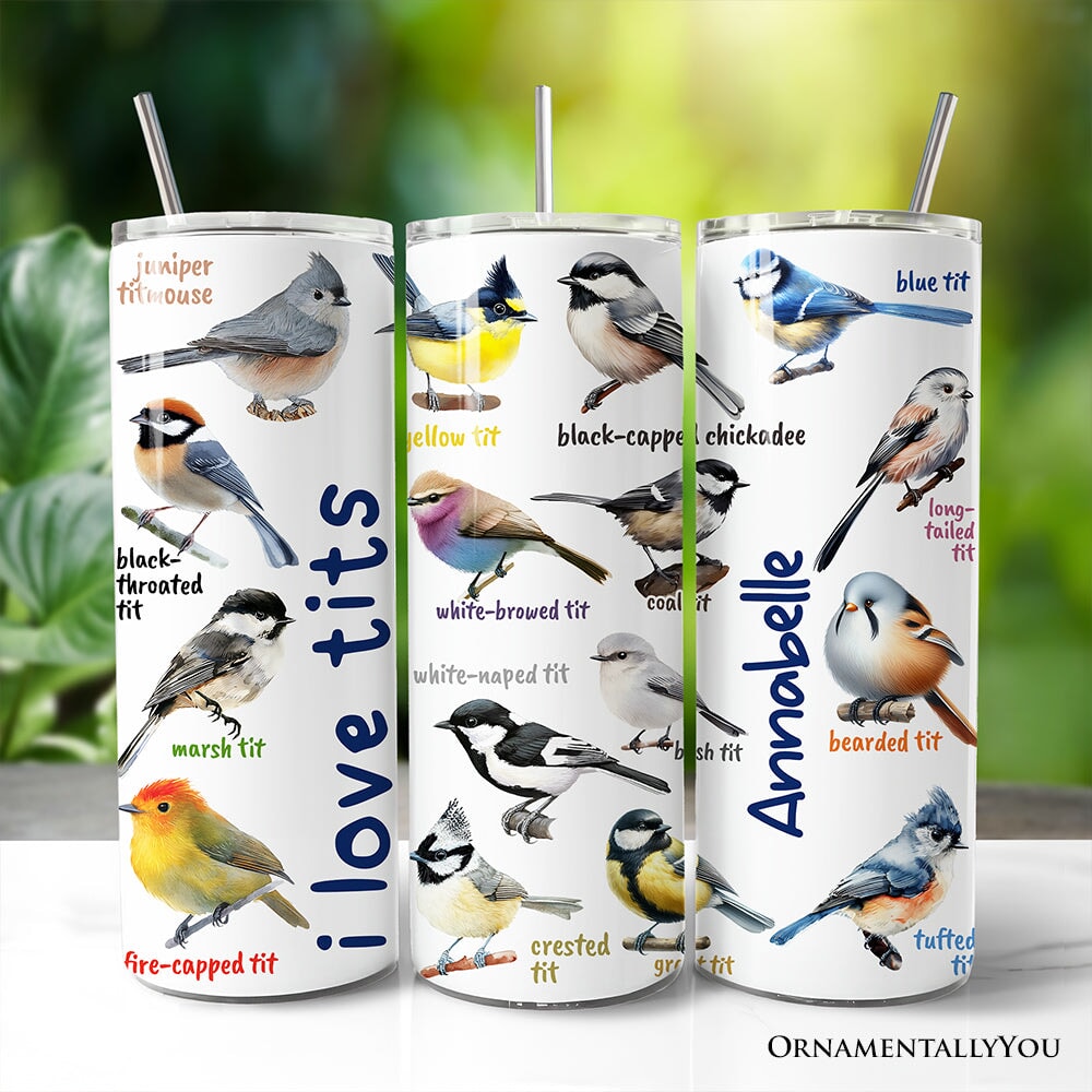 Whimsical Bird Tit 20oz Personalized Tumbler With Lid and Stainless Steel Straw, Funny Birdwatcher Gift Cup
