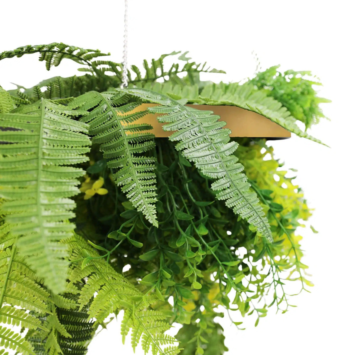 Artificial Green Wall Disc Draping Plant Arrangement 16in – Gold Frame – UV Resistant