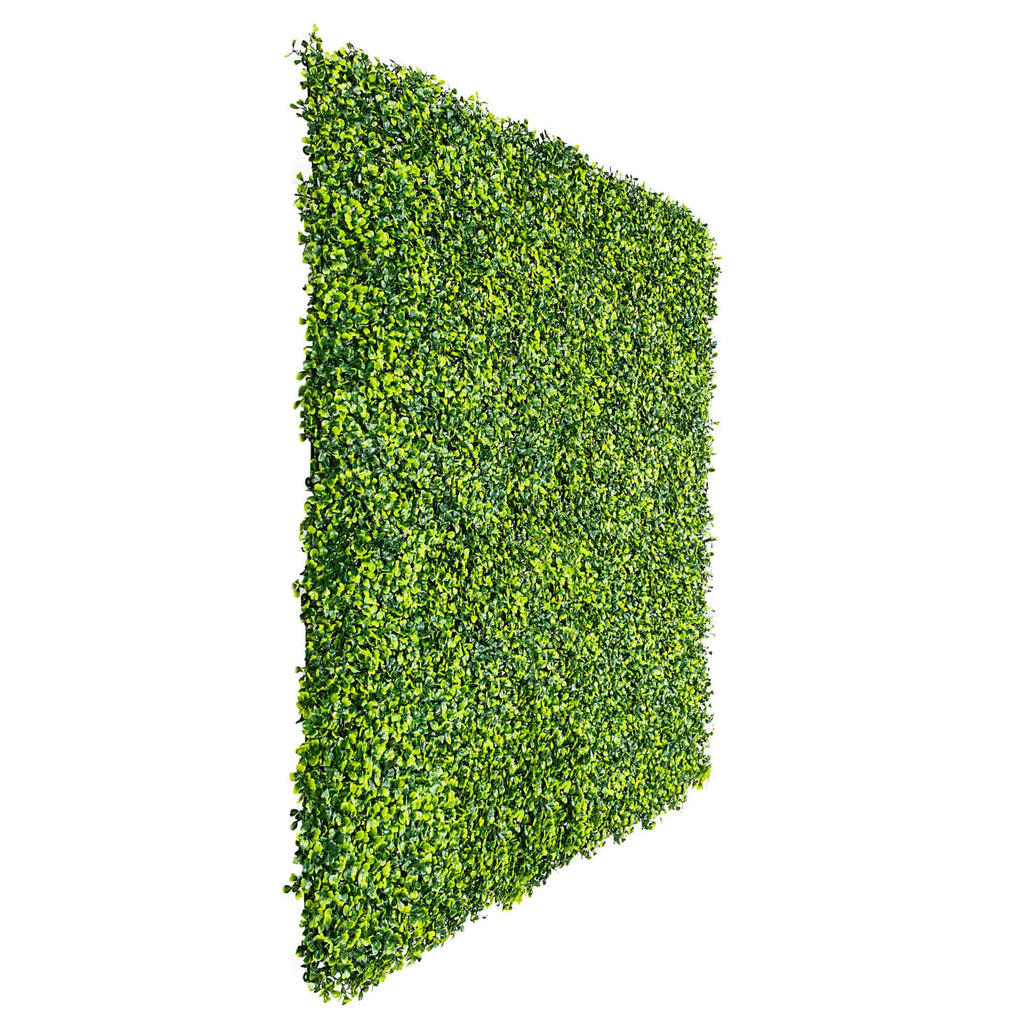 Sample Panel – Mixed Boxwood Green Wall (Small Sample)
