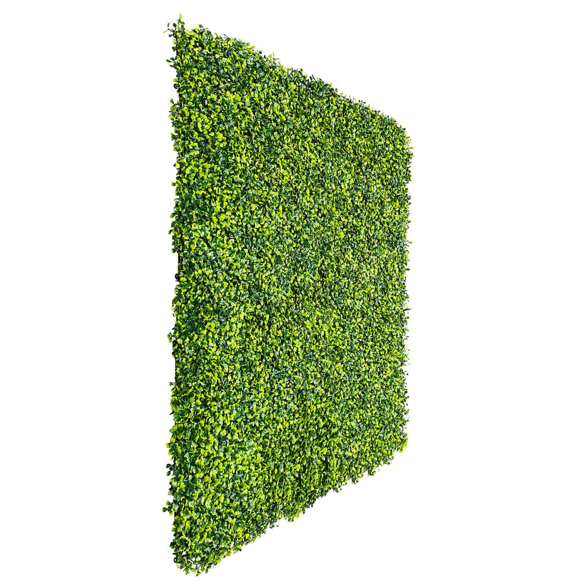 Sample Panel – Mixed Boxwood Green Wall (Small Sample)