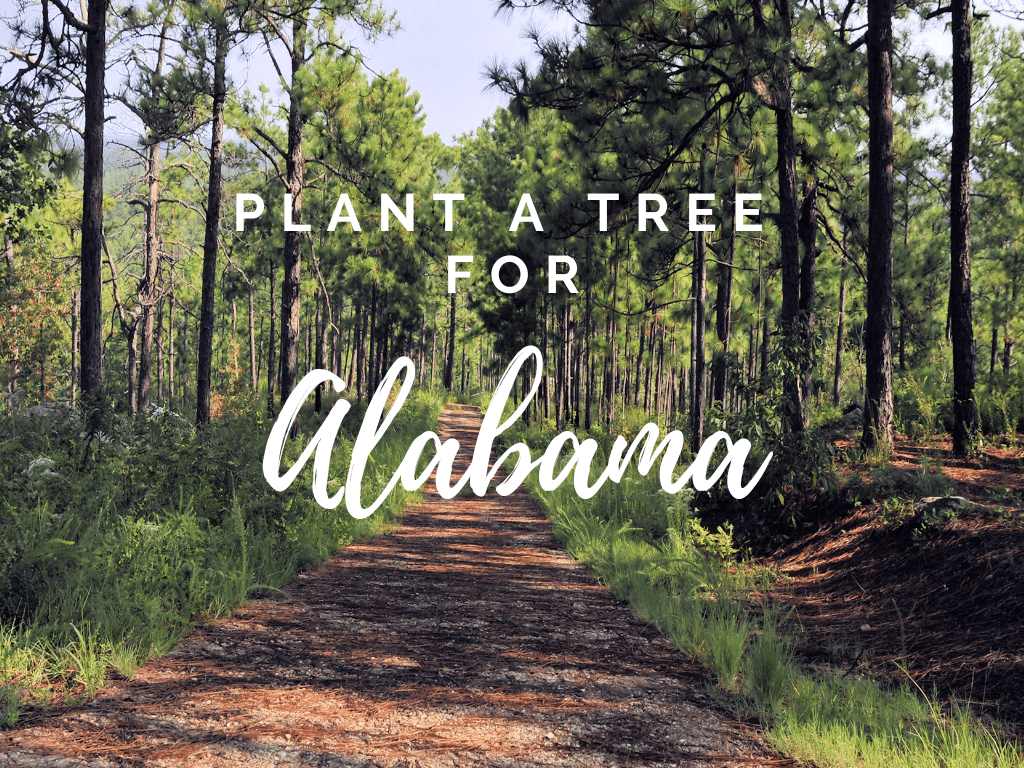 Plant a Tree for Someone in Alabama - Memorial & Tribute Trees