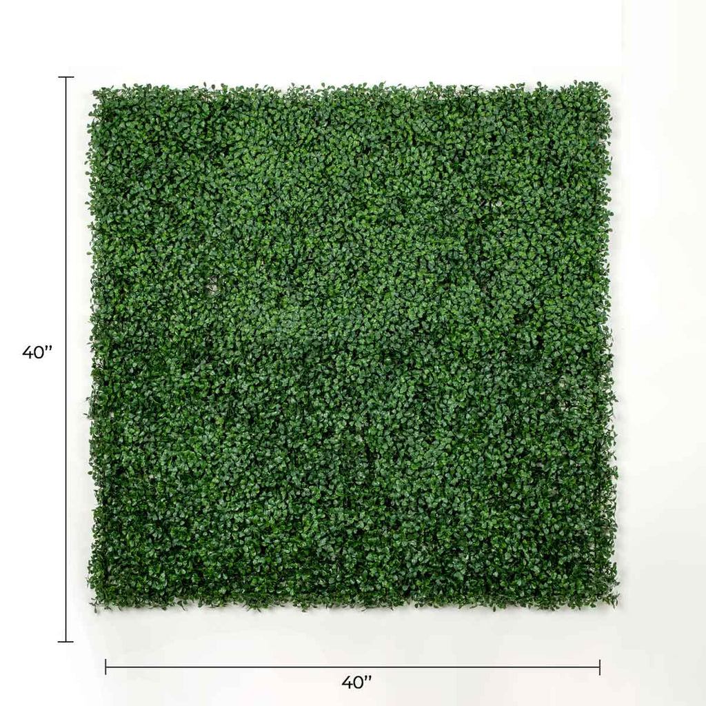 Dark Boxwood Artificial Vertical Garden Green Wall Panel 40×40in 11 SQ FT – UV Resistant – Commercial Grade