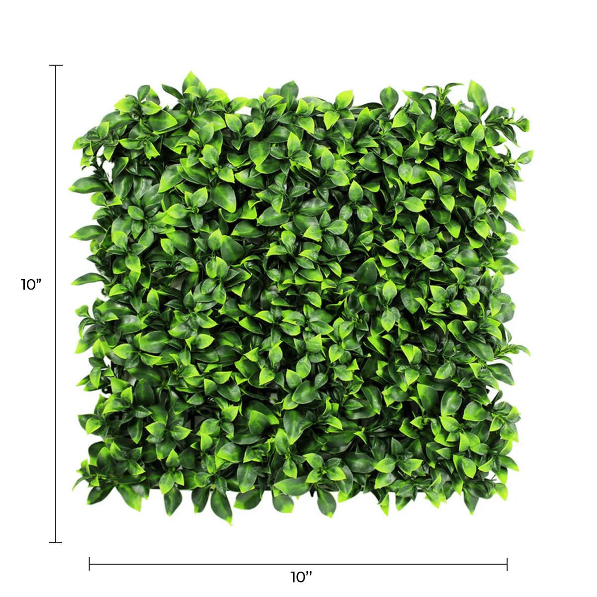 Sample Panel – Jasmine Green Wall (Small Sample)