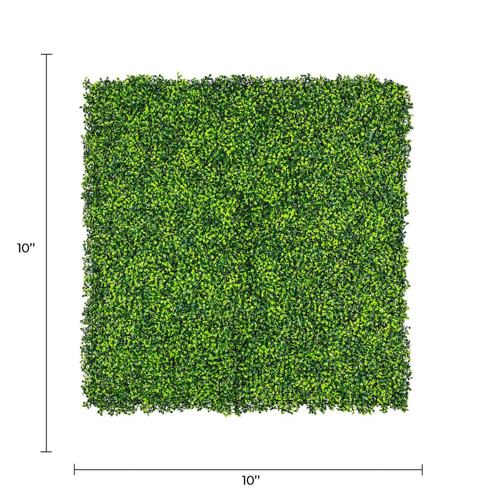 Sample Panel – Mixed Boxwood Green Wall (Small Sample)