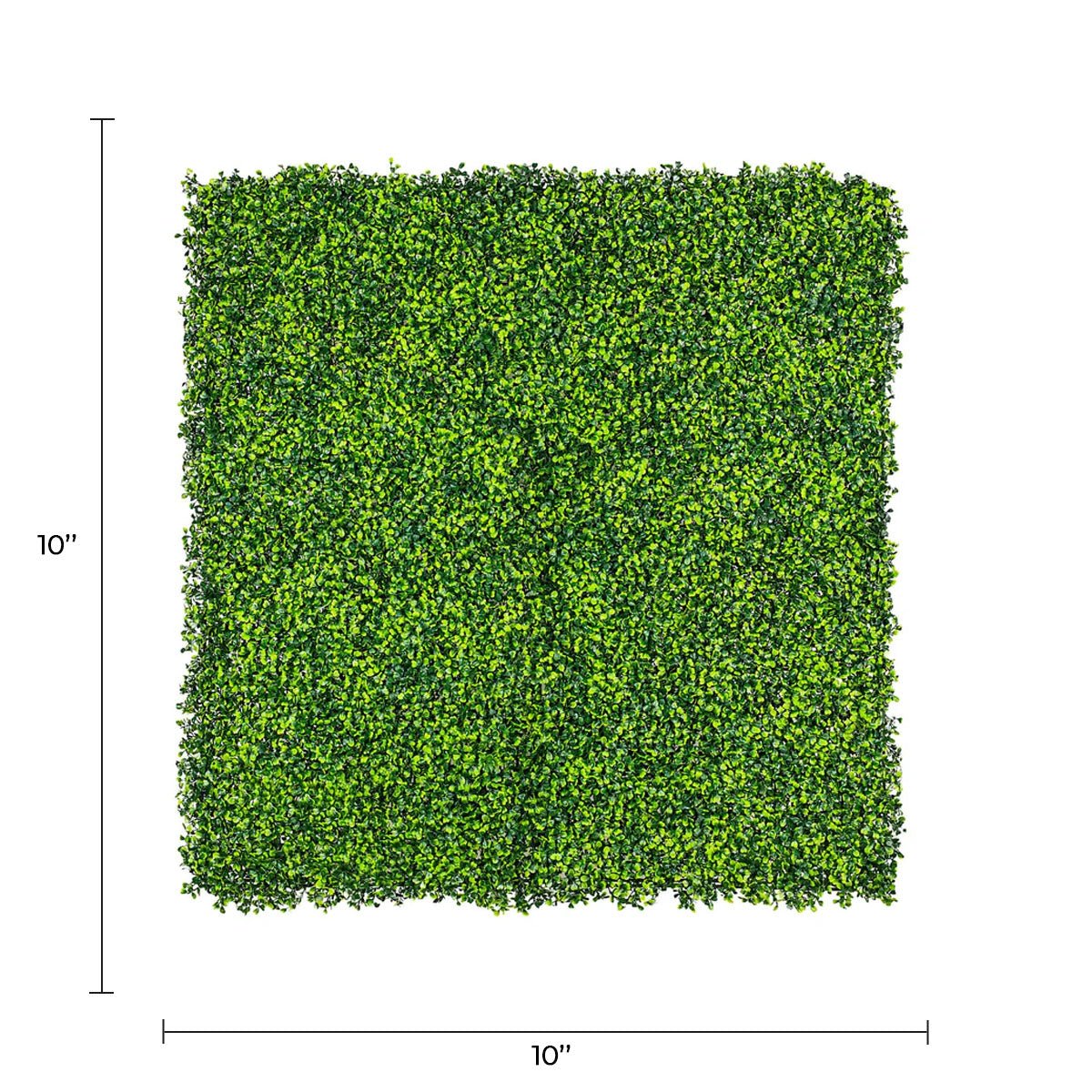 Sample Panel – Mixed Boxwood Green Wall (Small Sample)
