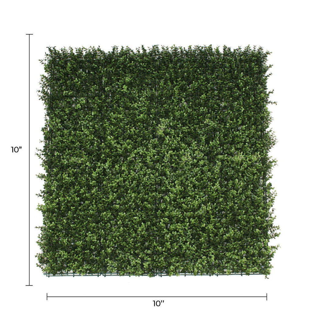 Sample Panel – Natural Boxwood Green Wall (Small Sample)