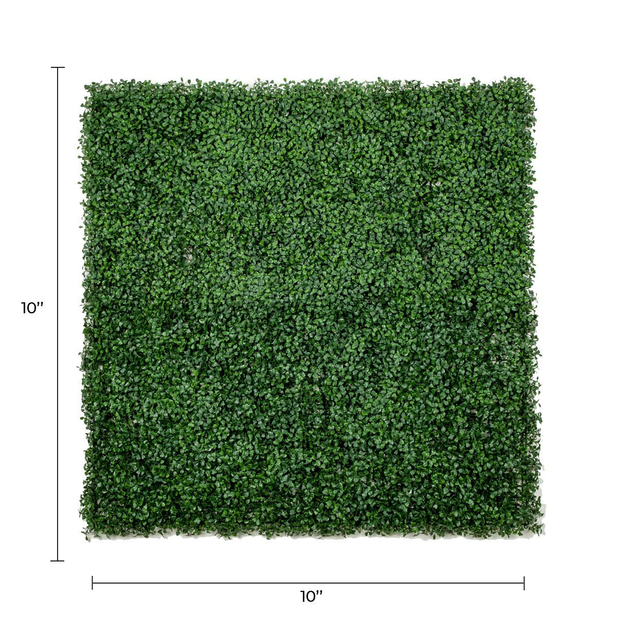Sample Panel – Dark Boxwood Green Wall (Small Sample)