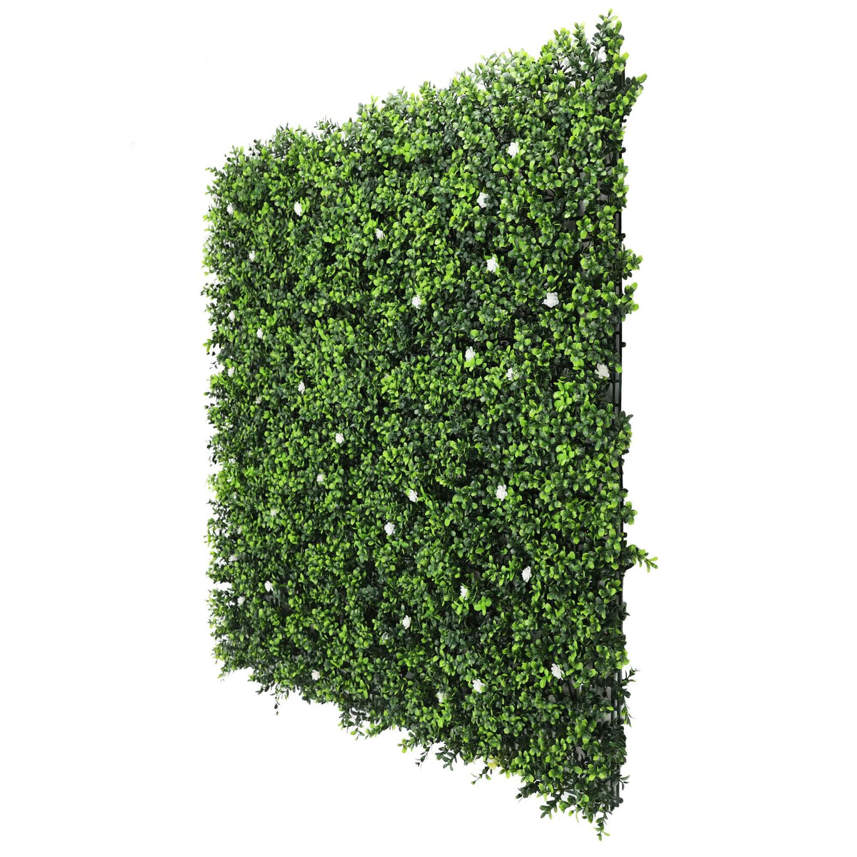 Sample Panel – White Flowering Boxwood Green Wall (Small Sample)
