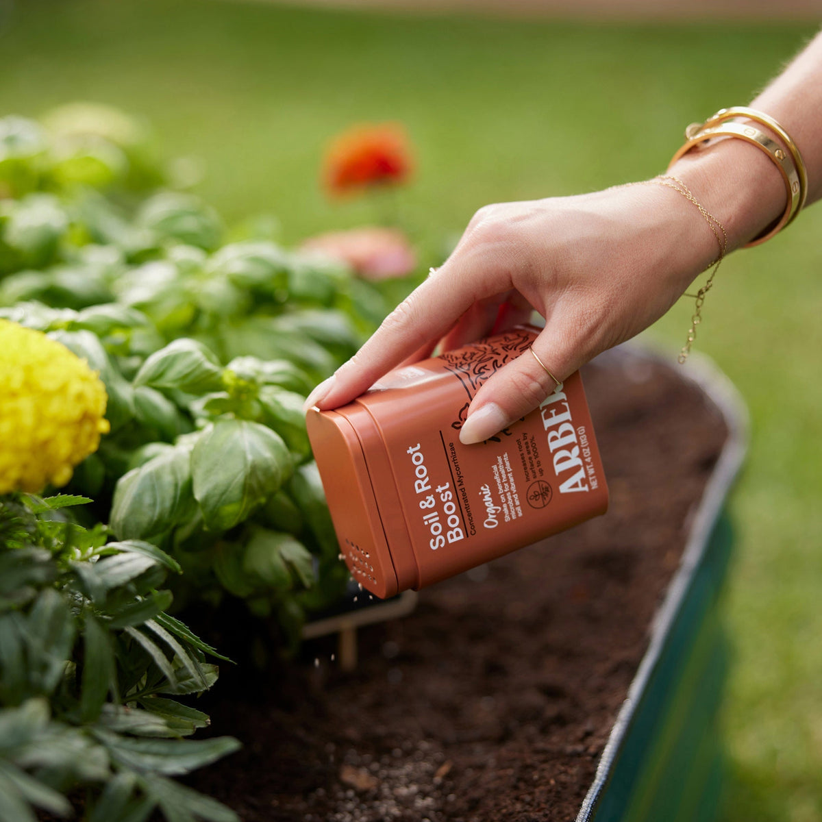 Organic Soil & Root Boost - House Plant Shop