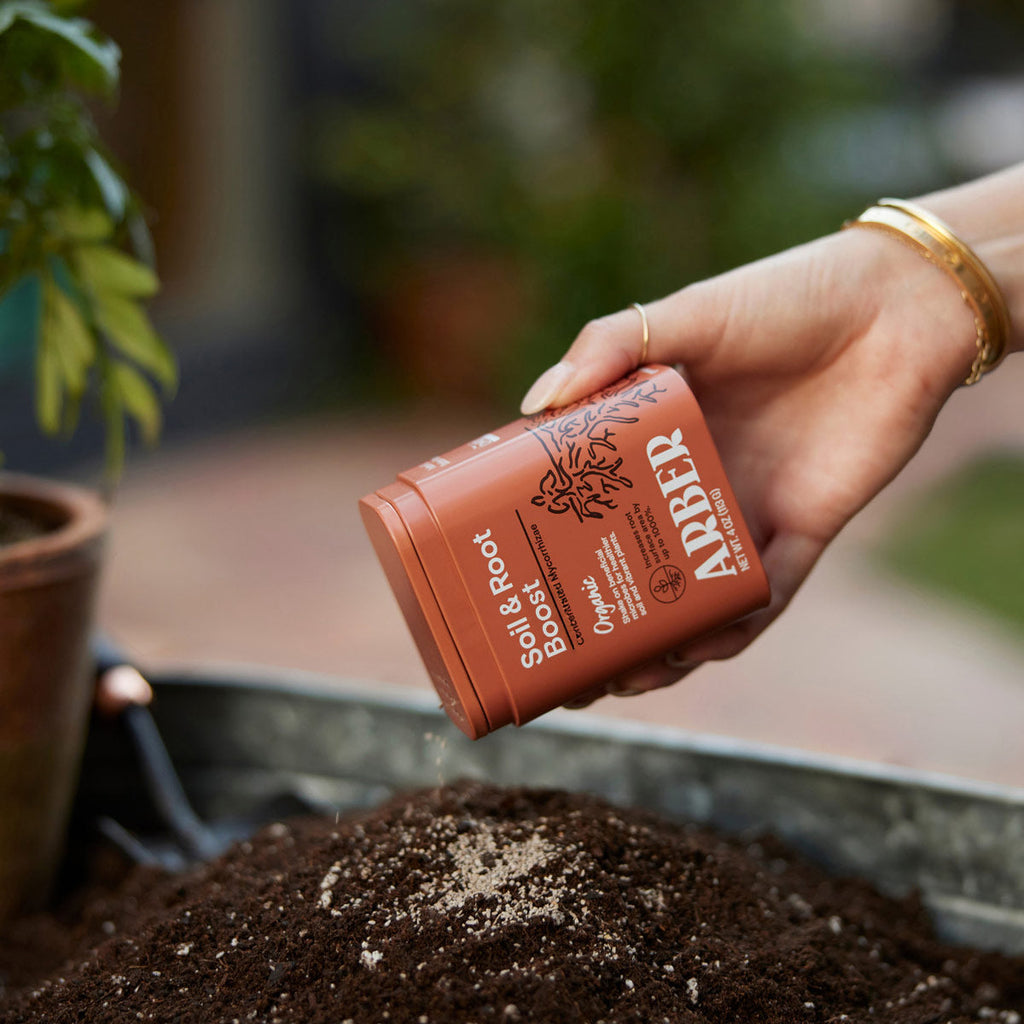 Organic Soil & Root Boost - House Plant Shop