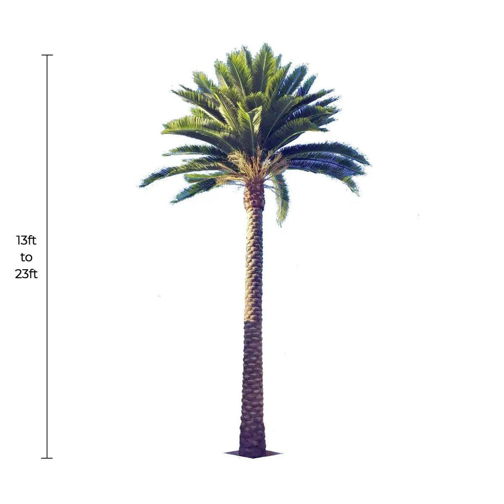 Florida Palm Artificial Tree 13ft–23ft – UV Resistant (10–12 Week Lead Time)