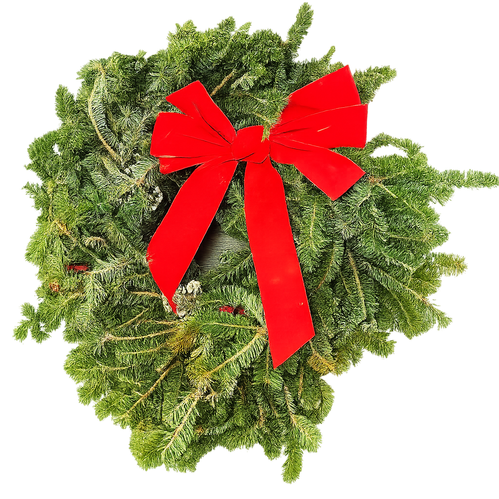 Fraser Fir Wreath Decorated - 22" - House Plant Shop