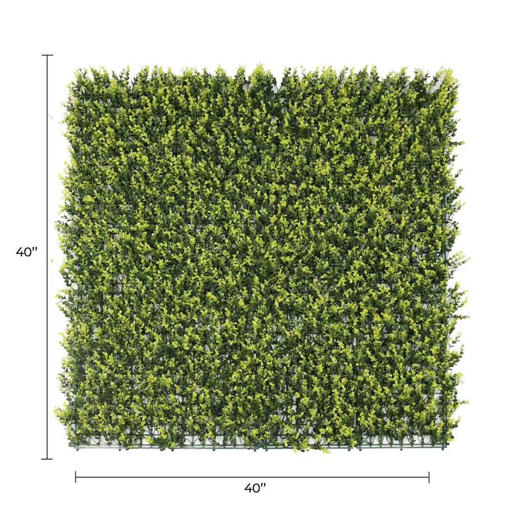 Yellow English Boxwood Artificial Vertical Garden Green Wall Panel 40×40in 11 SQ FT – UV Resistant – Commercial Grade