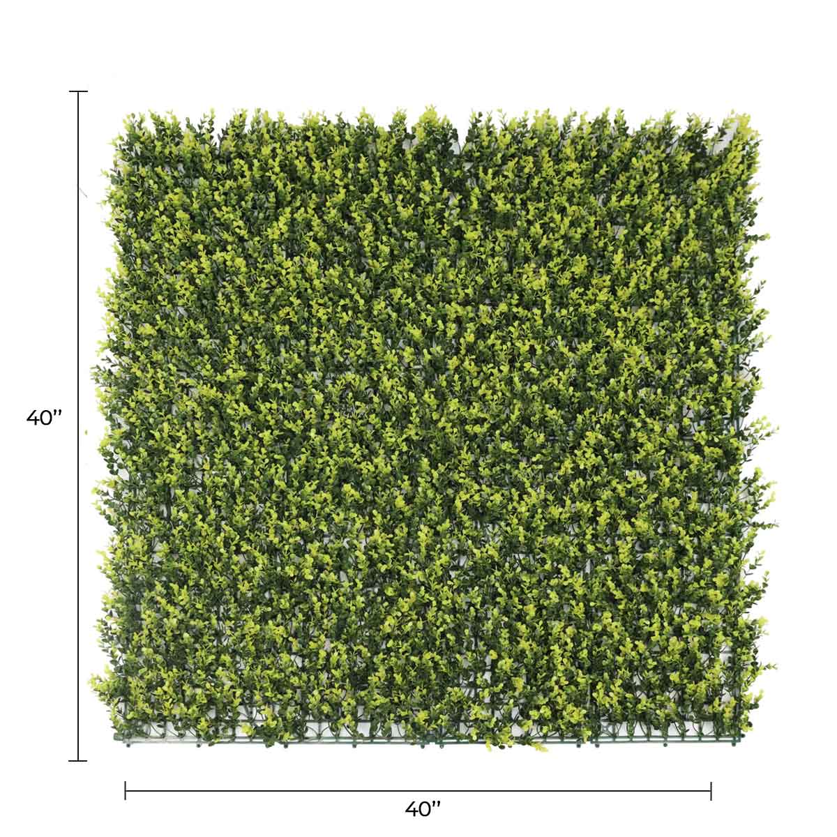Yellow English Boxwood Artificial Vertical Garden Green Wall Panel 40×40in 11 SQ FT – UV Resistant – Commercial Grade