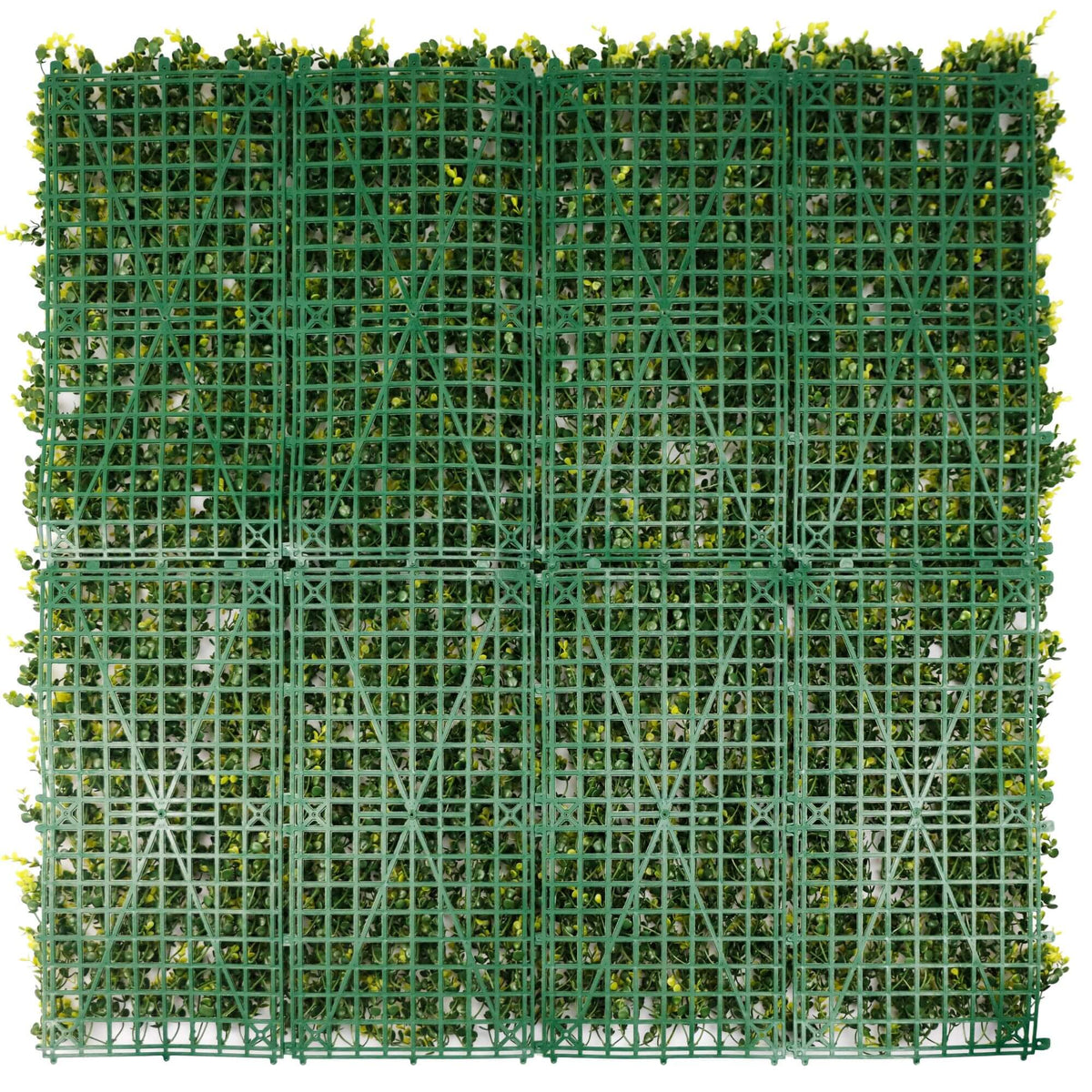 Sample Panel – Yellow English Boxwood Green Wall (Small Sample)