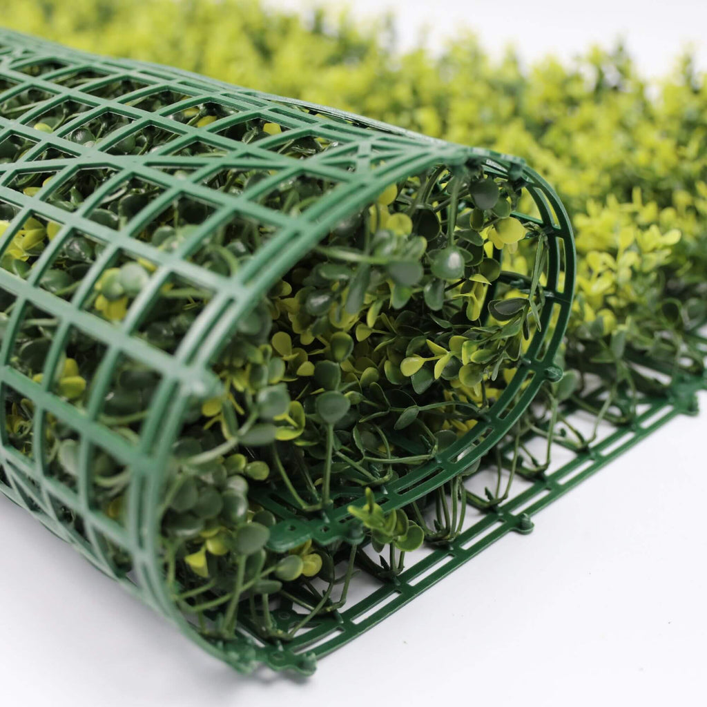 Yellow English Boxwood Artificial Vertical Garden Green Wall Panel 40×40in 11 SQ FT – UV Resistant – Commercial Grade