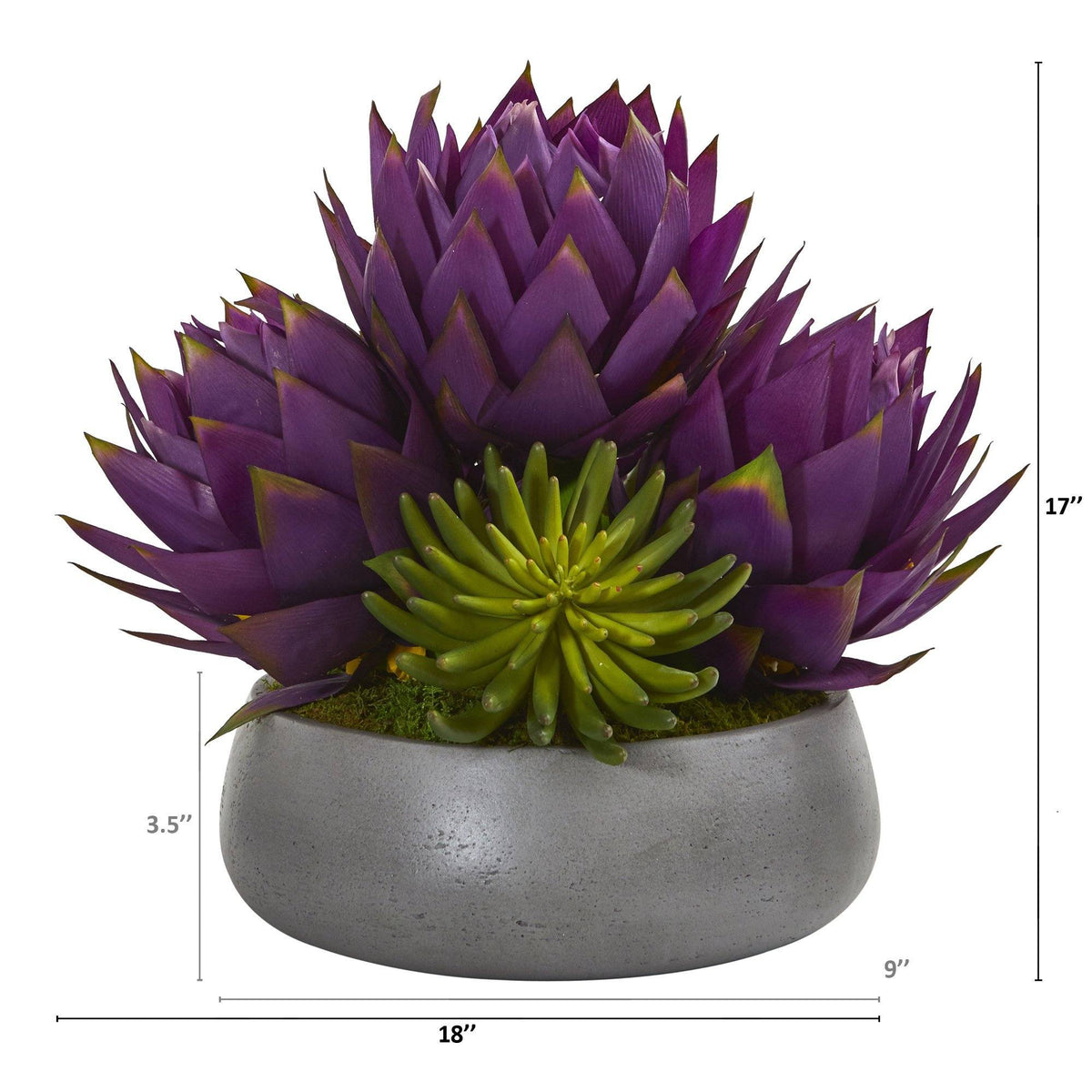 18” Musella and Succulent Arrangement in Gray Garden Vase